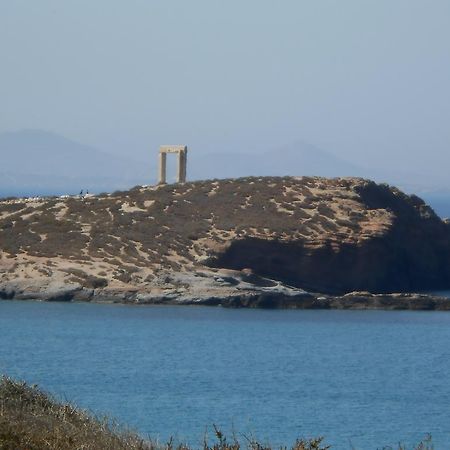 Vasiliki'S House Apartment Naxos City Екстериор снимка